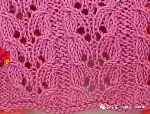 针织作品 30个毛衣 毯子等的针织针迹图案设计